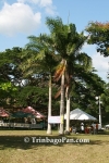pihL1506081492.jpg